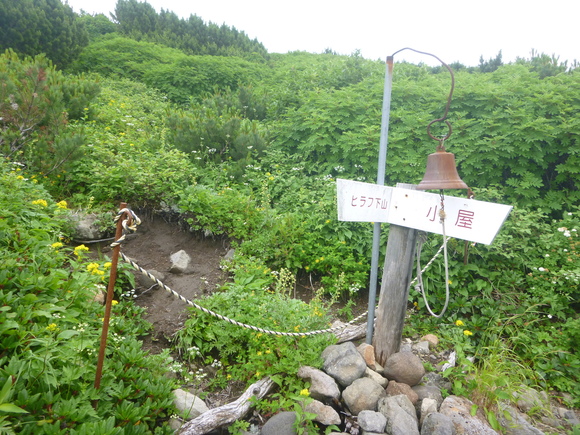 d0170615_914363.jpg