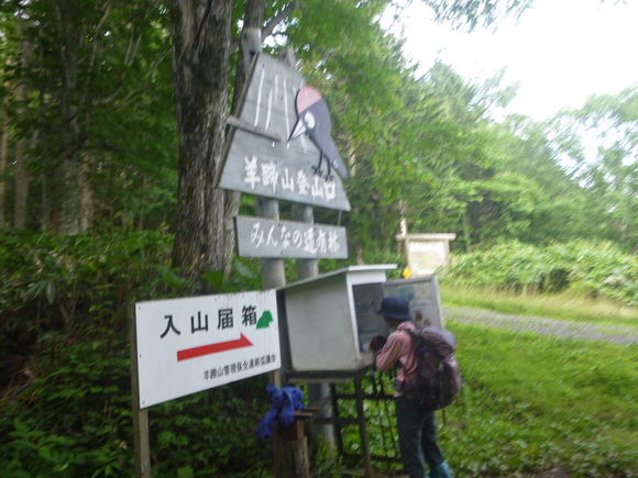 d0170615_9155279.jpg