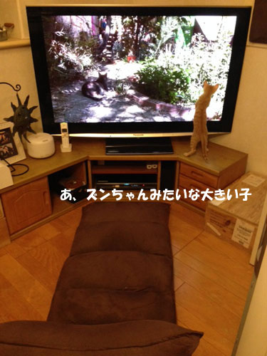 e0195115_15343118.jpg
