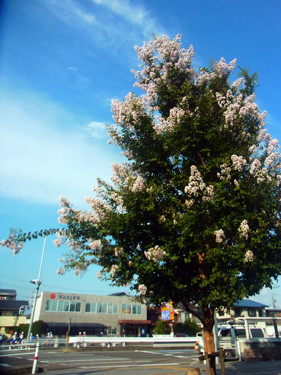 e0083517_01344154.jpg