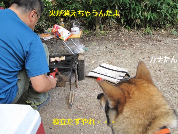 f0143123_825357.jpg