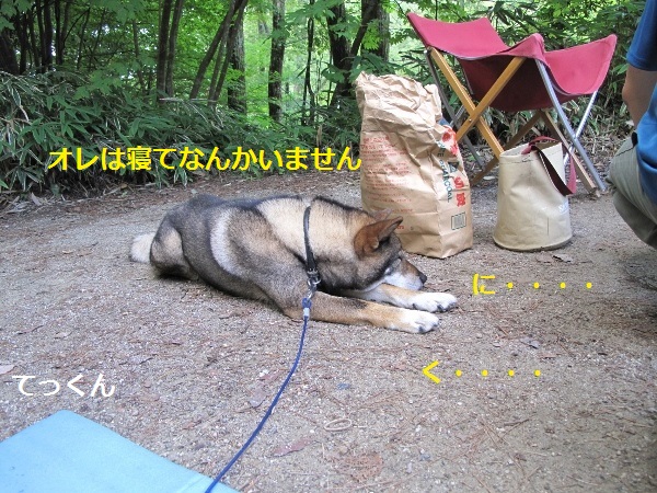 f0143123_8262177.jpg