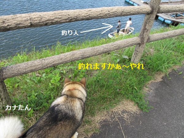 f0143123_838425.jpg