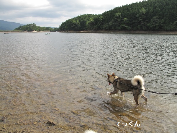 f0143123_8394428.jpg