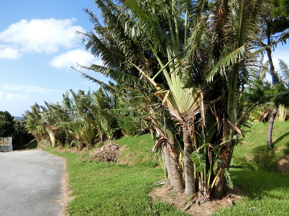 c0142326_9403914.jpg