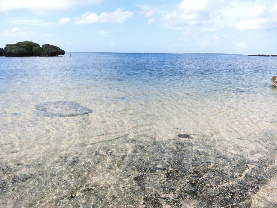c0142326_9414296.jpg