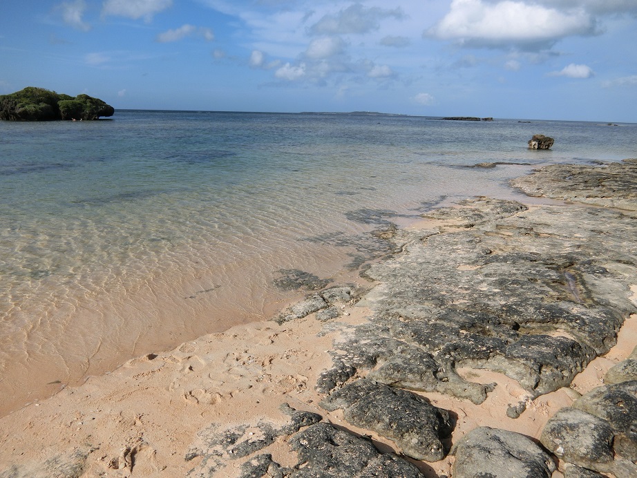 c0142326_9423534.jpg