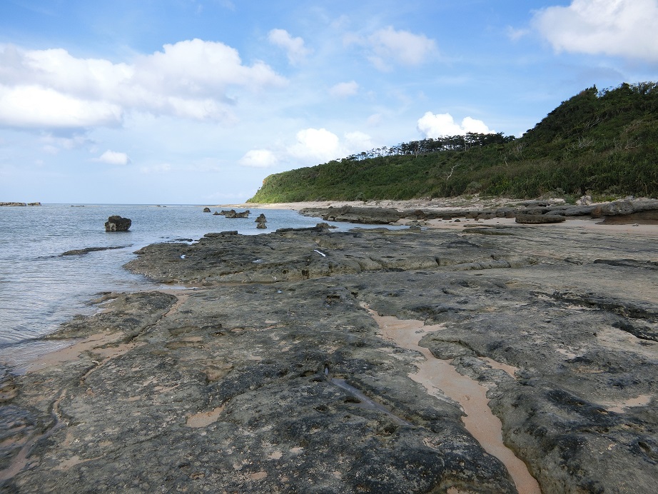c0142326_9424232.jpg
