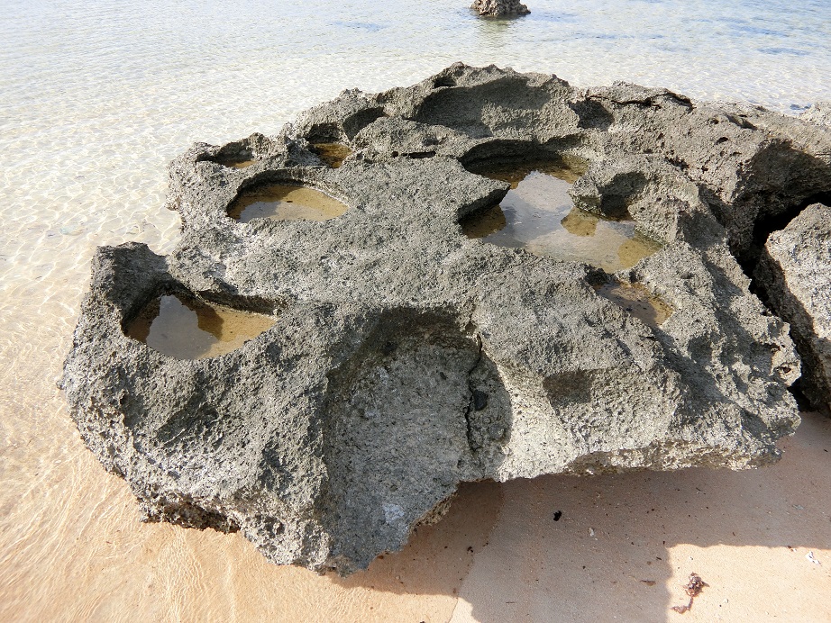 c0142326_942514.jpg