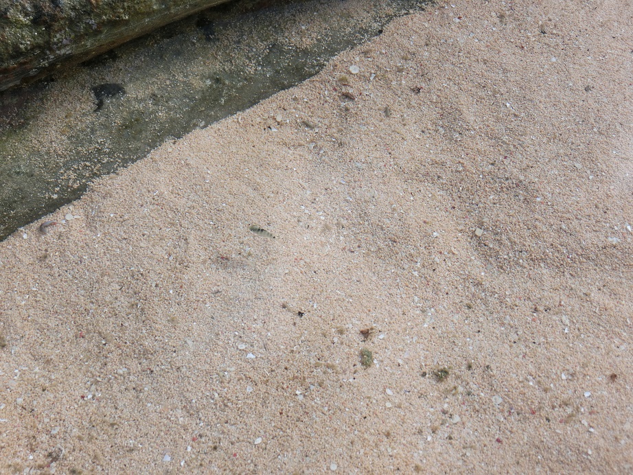 c0142326_943780.jpg