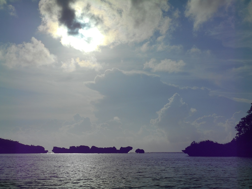 c0142326_950730.jpg