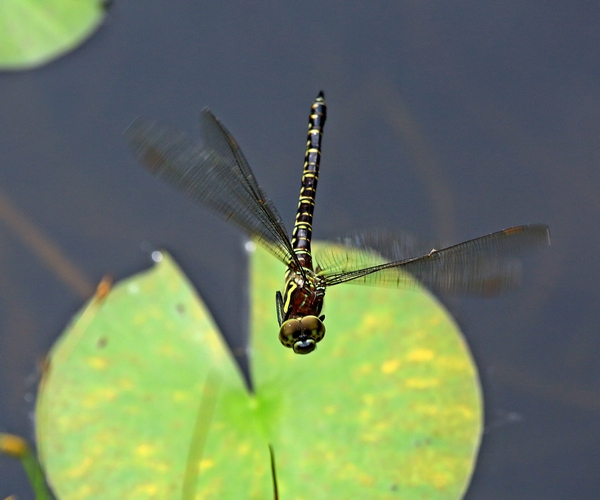 c0104227_15324485.jpg