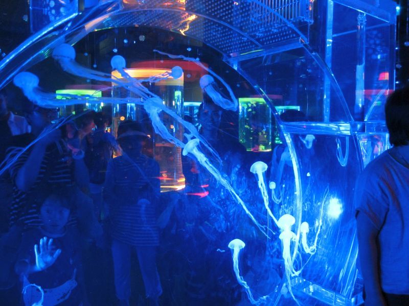 f0076731_17381520.jpg