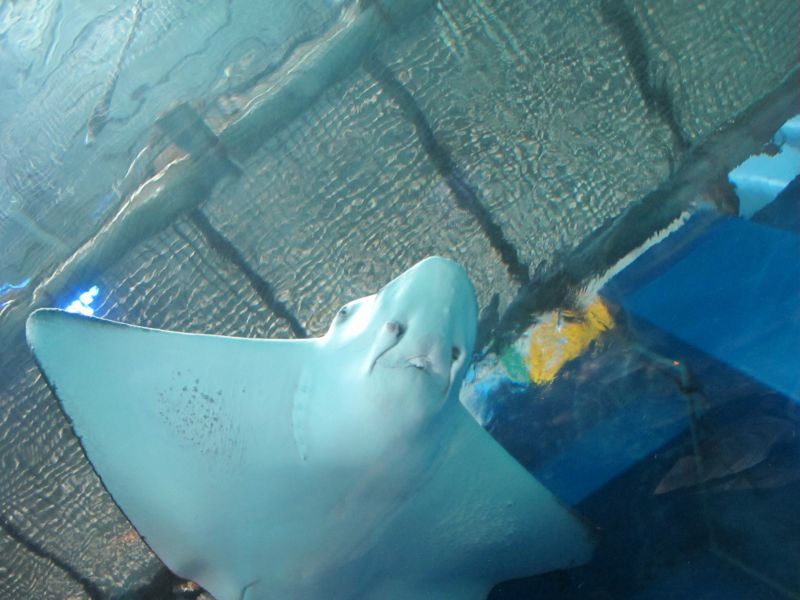 f0076731_17405482.jpg