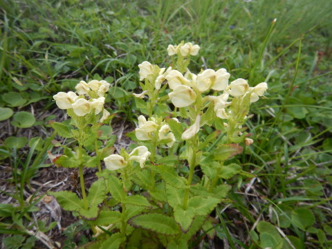 f0118332_00115599.jpg