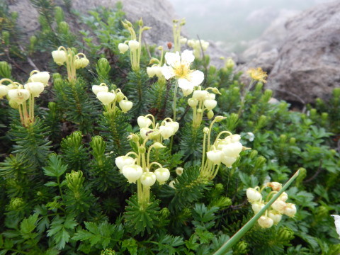 f0118332_00122248.jpg