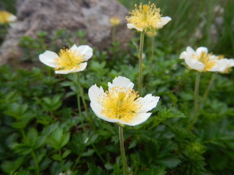 f0118332_00130700.jpg