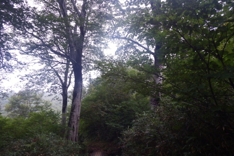f0118332_00163073.jpg