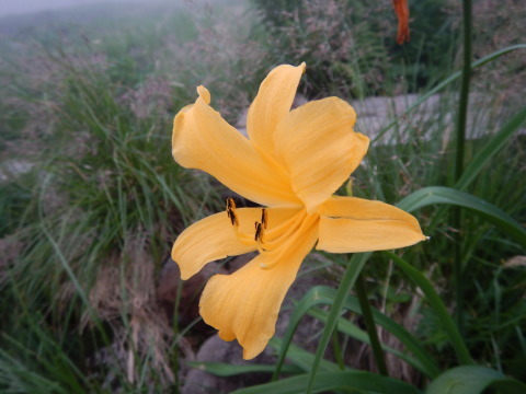 f0118332_00170804.jpg