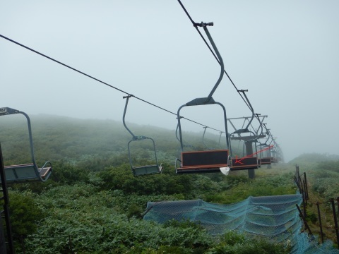 f0118332_23055420.jpg