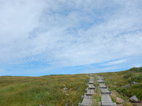 f0118332_23145196.jpg