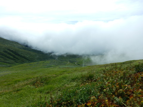 f0118332_23201618.jpg