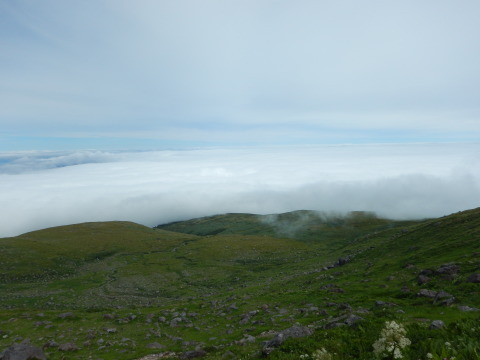 f0118332_23274976.jpg