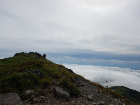f0118332_23282867.jpg