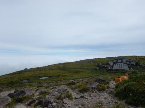 f0118332_23284589.jpg