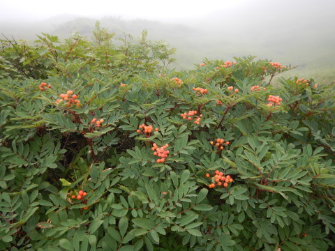 f0118332_23371764.jpg