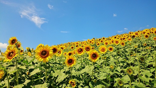 a0011534_1272898.jpg