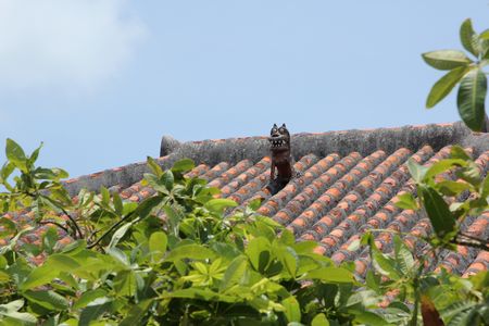 c0148238_1421625.jpg