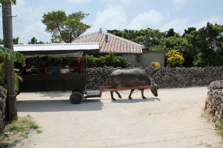 c0148238_1422594.jpg