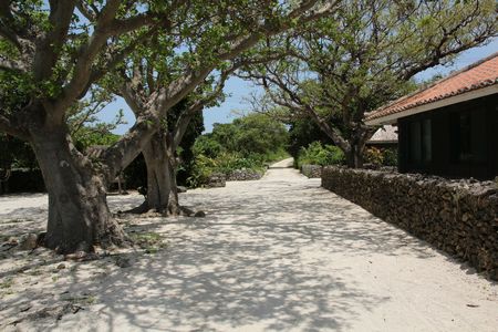 c0148238_1424133.jpg