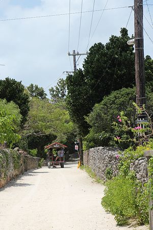 c0148238_1425246.jpg