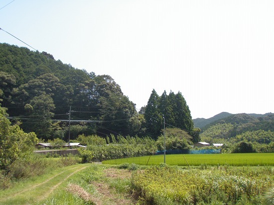 c0327752_14144058.jpg
