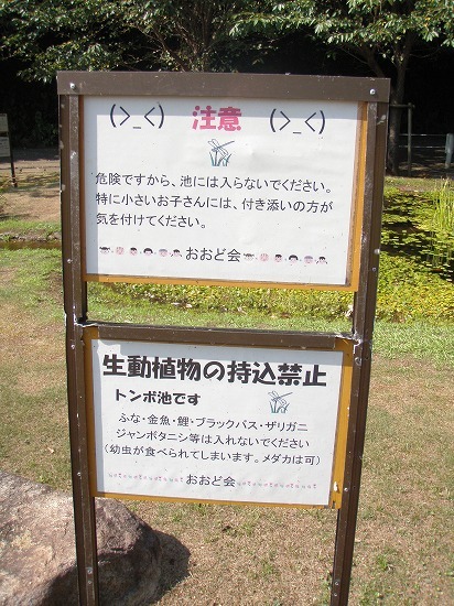 c0327752_14533427.jpg