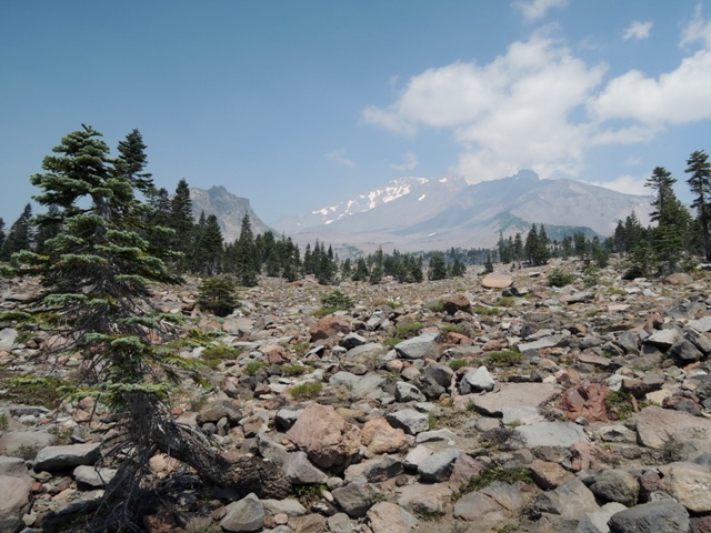 b0173754_13220963.jpg