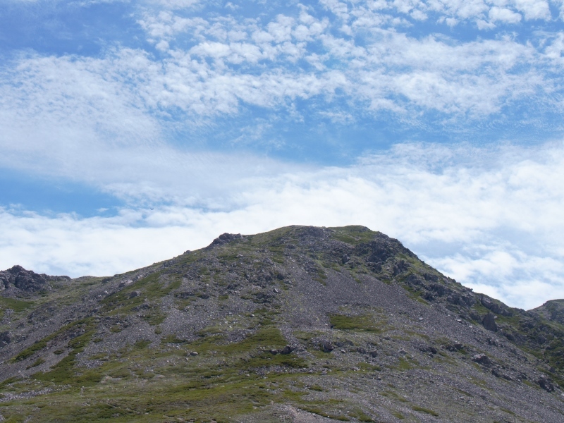 b0335256_15012899.jpg