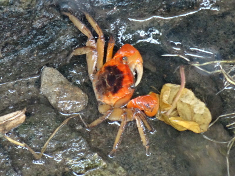 c0108460_15410669.jpg
