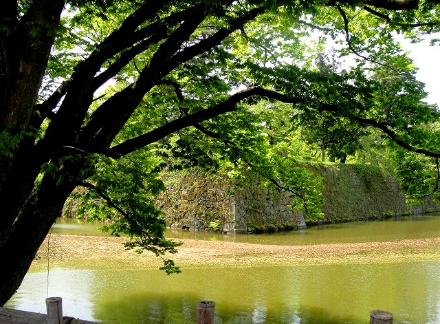 c0119160_2243197.jpg