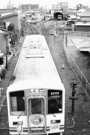 d0164962_110434.jpg