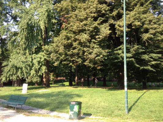 c0076764_23123921.jpg