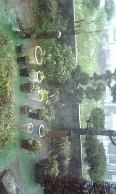 f0003174_7122755.jpg
