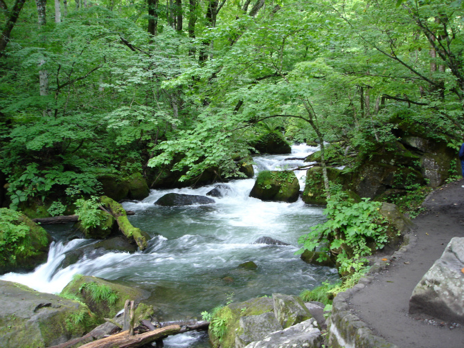 d0165378_11002700.jpg