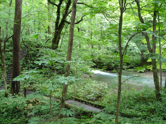 d0165378_11011023.jpg