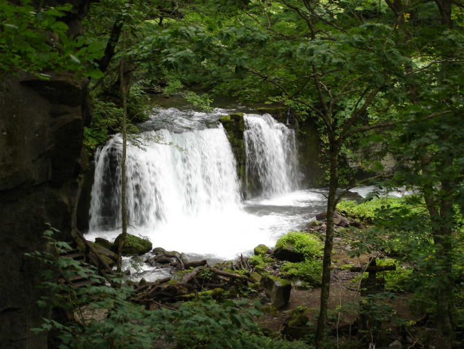 d0165378_11022119.jpg