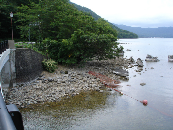 d0165378_11033627.jpg