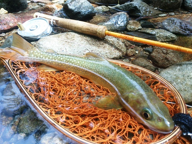 c0157482_11155612.jpg