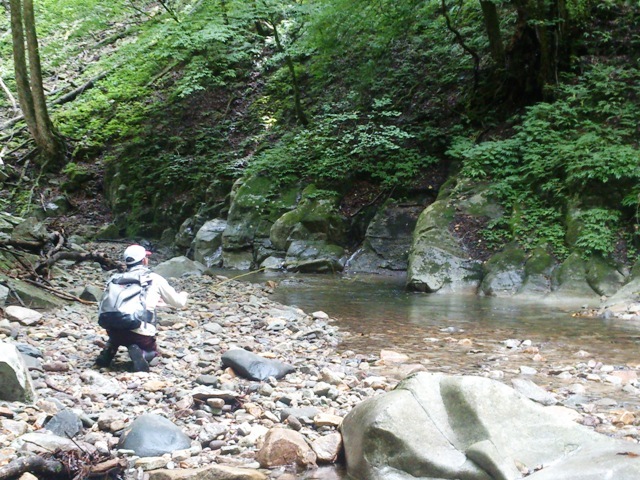 c0157482_11193005.jpg